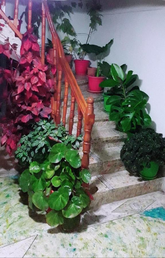 Sokolli Guest House Гирокастра Экстерьер фото